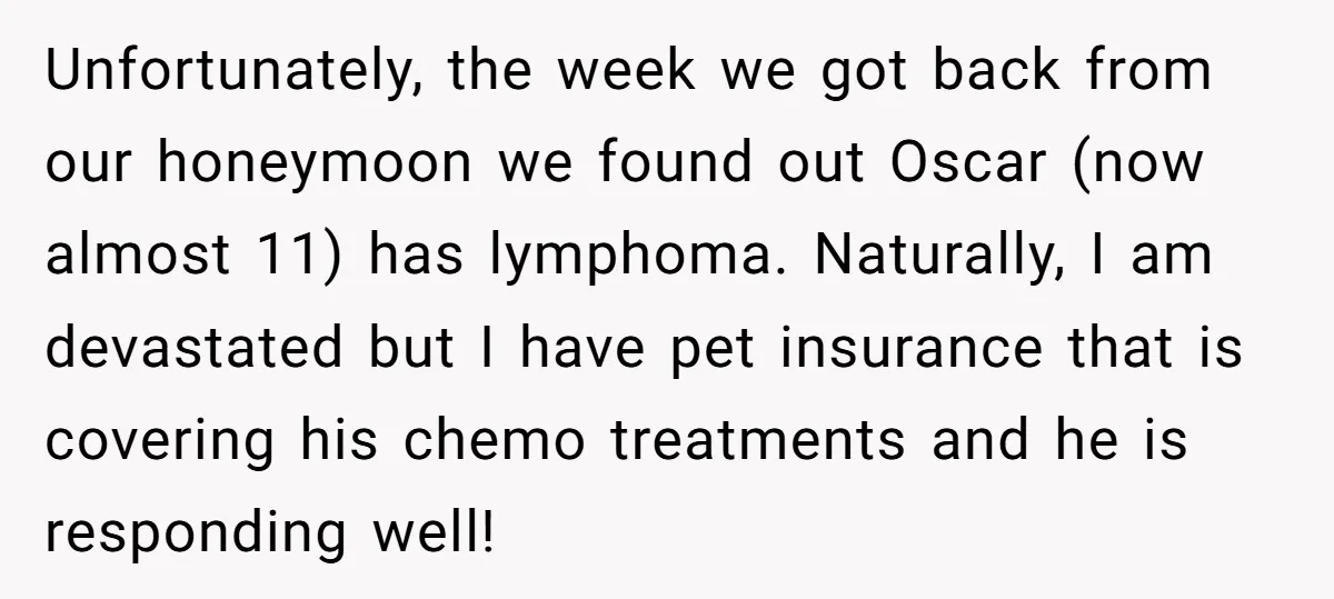 Unfortunately, the week we got back from our honeymoon we found out Oscar (now almost 11) has lymphoma. Naturally, I am devastated but I have pet insurance that is covering...