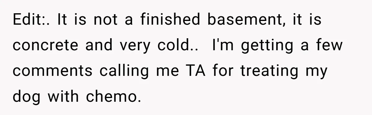 Edit:. It is not a finished basement, it is concrete and very cold.. I'm getting a few comments calling me TA for treating my dog with chemo.