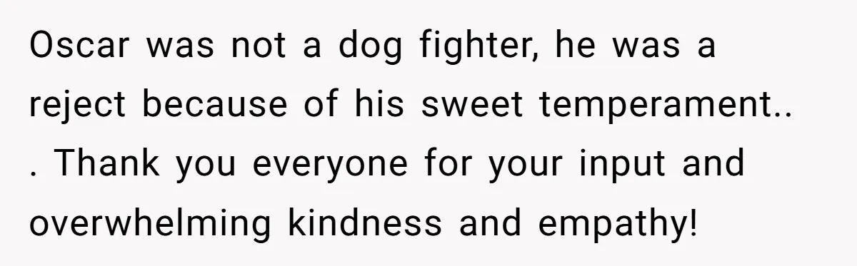 Oscar was not a dog fighter, he was a reject because of his sweet temperament.. . Thank you everyone for your input and overwhelming kindness and empathy!