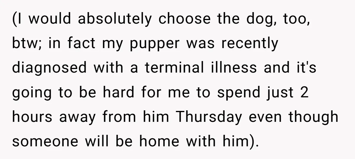 (I would absolutely choose the dog, too, btw; in fact my pupper was recently diagnosed with a terminal illness and it's going to be hard for me to spend just...