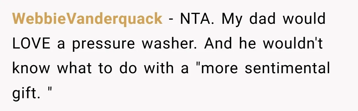 WebbieVanderquack − NTA. My dad would LOVE a pressure washer. And he wouldn't know what to do with a "more sentimental gift. "