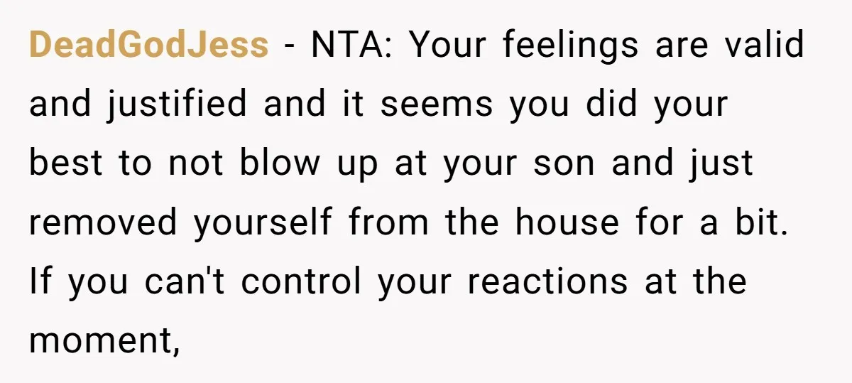 DeadGodJess − NTA: Your feelings are valid and justified and it seems you did your best to not blow up at your son and just removed yourself from the house...