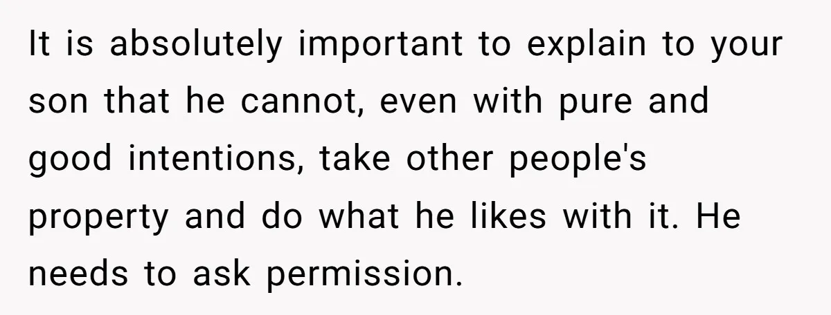 It is absolutely important to explain to your son that he cannot, even with pure and good intentions, take other people's property and do what he likes with it. He...