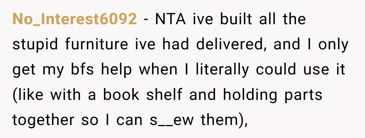 No_Interest6092 − NTA ive built all the stupid furniture ive had delivered, and I only get my bfs help when I literally could use it (like with a book shelf...