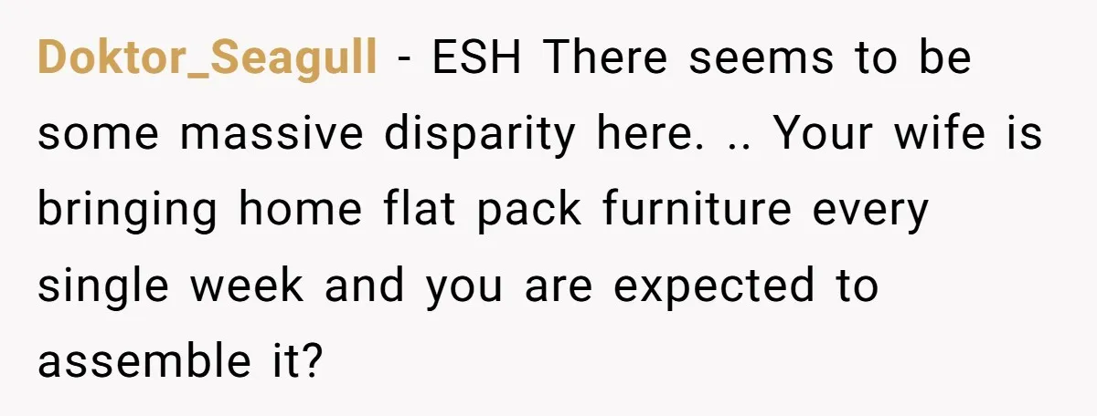 Doktor_Seagull − ESH There seems to be some massive disparity here. .. Your wife is bringing home flat pack furniture every single week and you are expected to assemble it?
