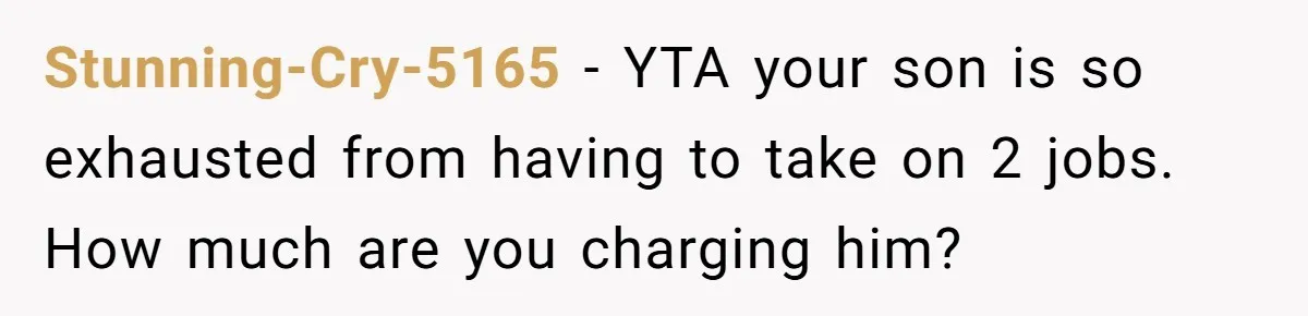 Stunning-Cry-5165 − YTA your son is so exhausted from having to take on 2 jobs. How much are you charging him?