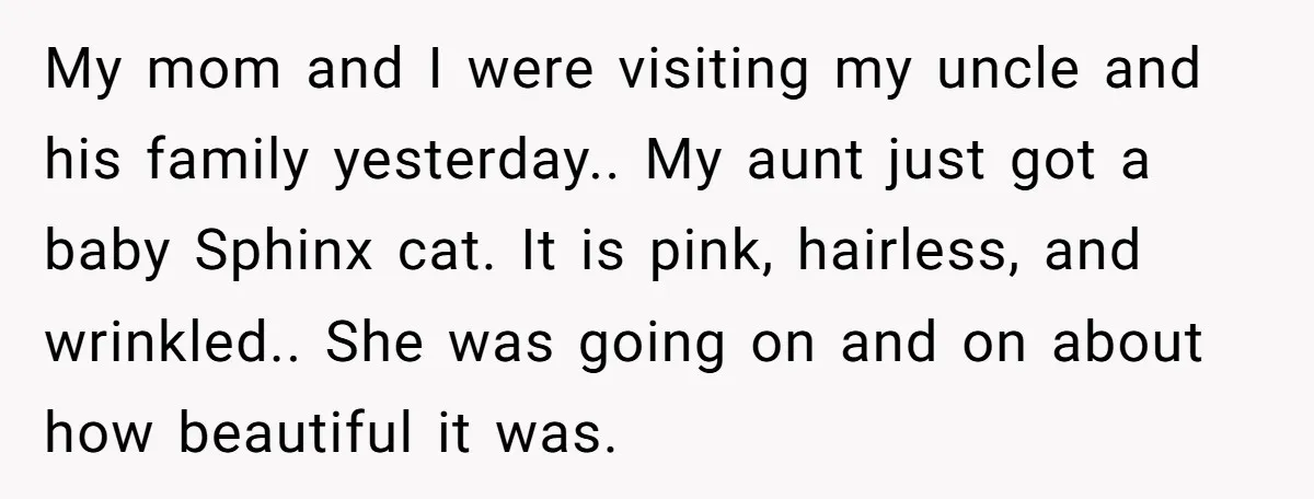 My mom and I were visiting my uncle and his family yesterday.. My aunt just got a baby Sphinx cat. It is pink, hairless, and wrinkled.. She was going on...