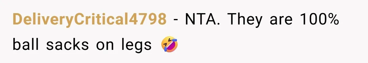 DeliveryCritical4798 − NTA. They are 100% ball sacks on legs 🤣