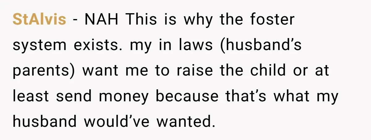 StAlvis − NAH This is why the foster system exists. my in laws (husband’s parents) want me to raise the child or at least send money because that’s what my...