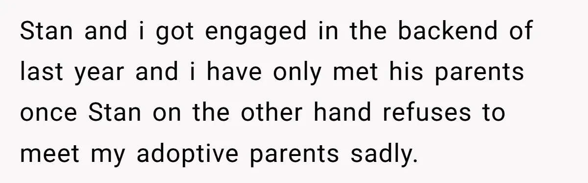 Stan and i got engaged in the backend of last year and i have only met his parents once Stan on the other hand refuses to meet my adoptive parents...
