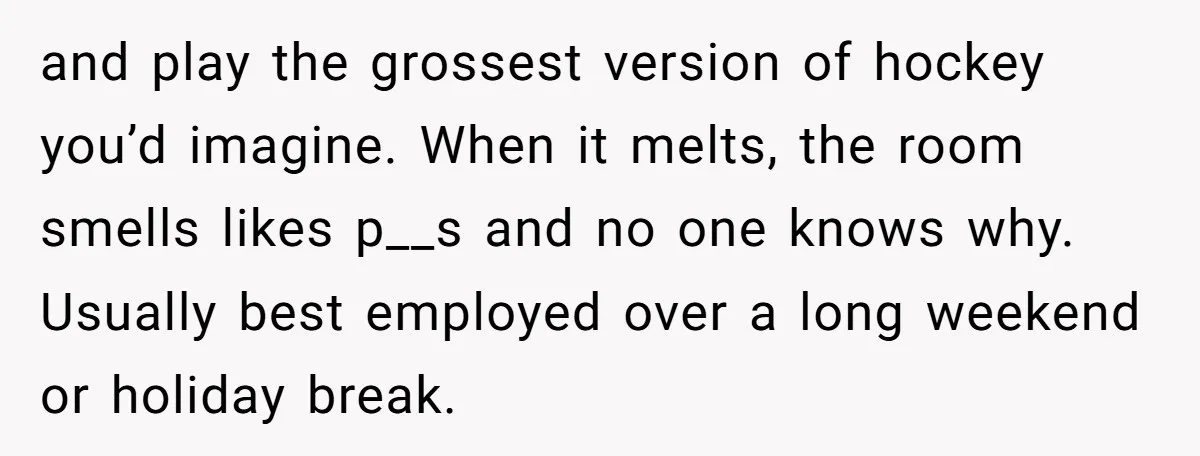 and play the grossest version of hockey you’d imagine. When it melts, the room smells likes p__s and no one knows why. Usually best employed over a long weekend or...