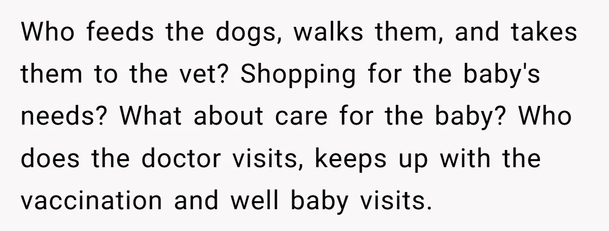 Who feeds the dogs, walks them, and takes them to the vet? Shopping for the baby's needs? What about care for the baby? Who does the doctor visits, keeps up...