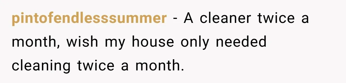 pintofendlesssummer − A cleaner twice a month, wish my house only needed cleaning twice a month.