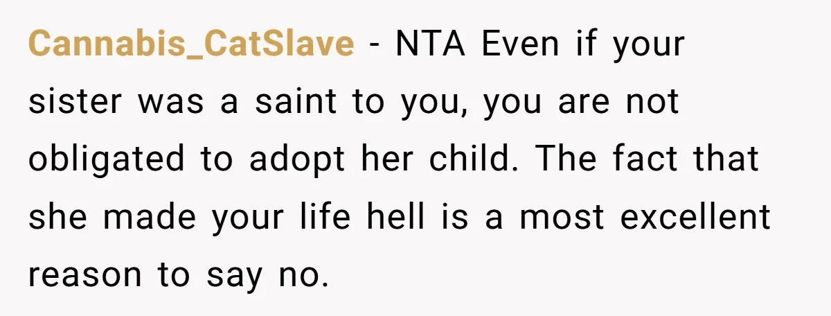 Cannabis_CatSlave − NTA Even if your sister was a saint to you, you are not obligated to adopt her child. The fact that she made your life hell is a...