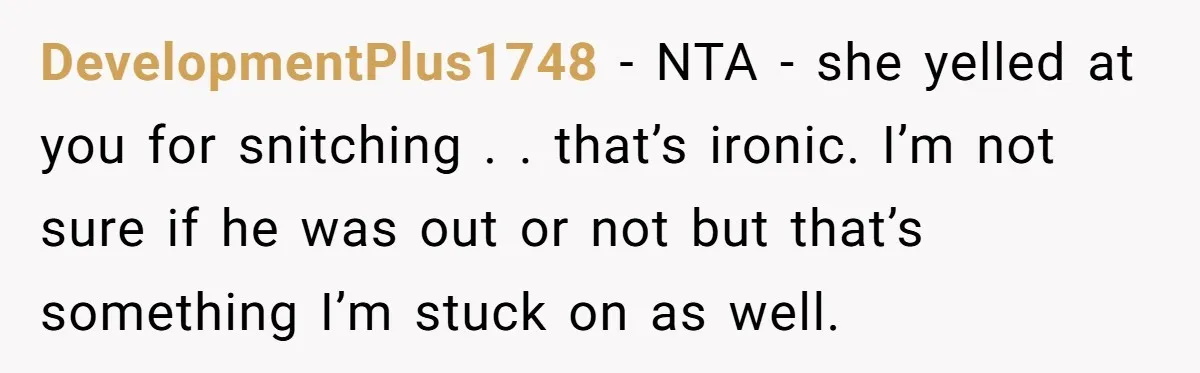 DevelopmentPlus1748 − NTA - she yelled at you for snitching . . that’s ironic. I’m not sure if he was out or not but that’s something I’m stuck on as...