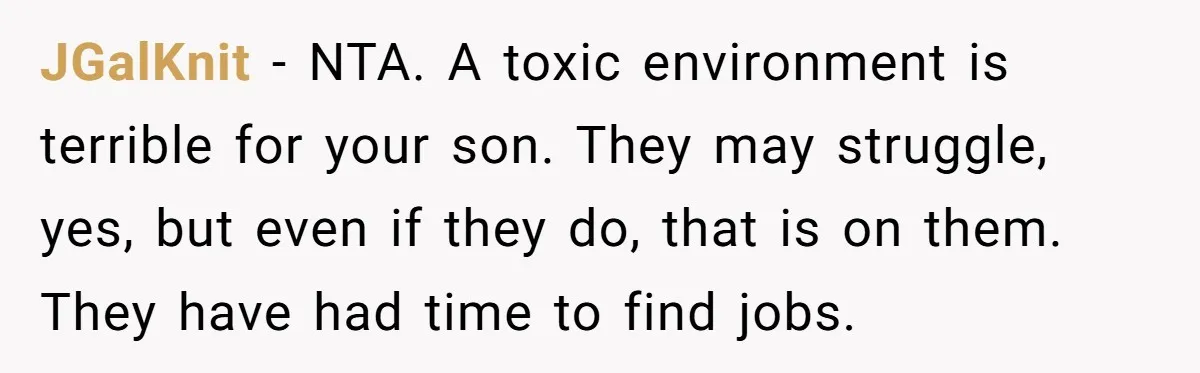 JGalKnit − NTA. A toxic environment is terrible for your son. They may struggle, yes, but even if they do, that is on them. They have had time to find...