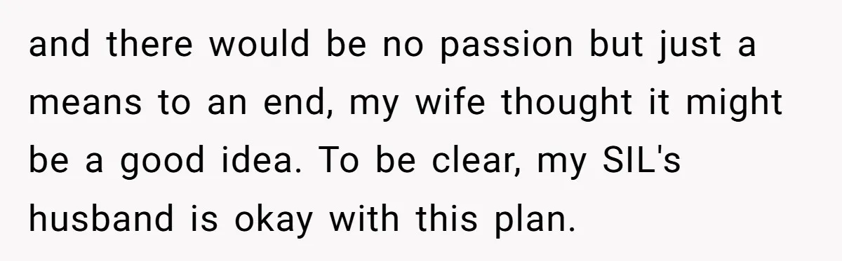 and there would be no passion but just a means to an end, my wife thought it might be a good idea. To be clear, my SIL's husband is okay...