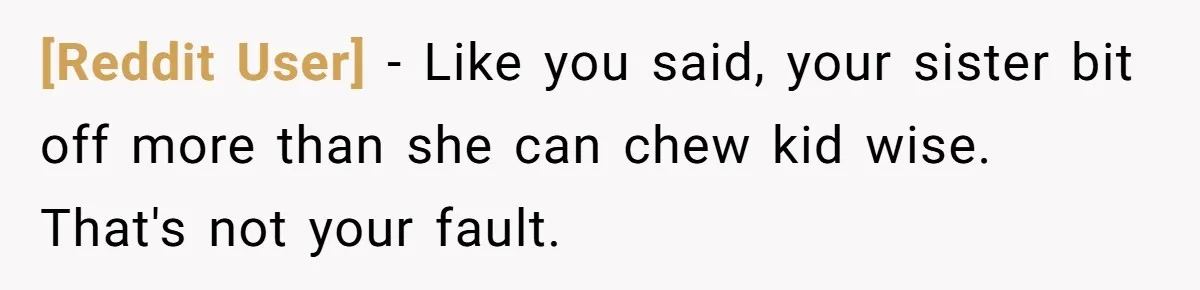 [Reddit User] − Like you said, your sister bit off more than she can chew kid wise. That's not your fault.