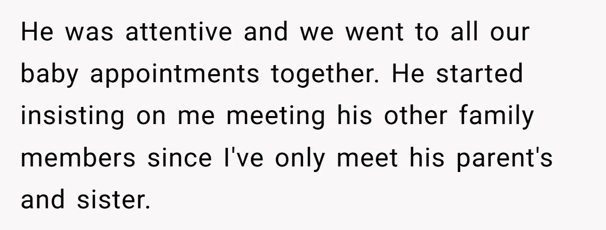He was attentive and we went to all our baby appointments together. He started insisting on me meeting his other family members since I've only meet his parent's and sister.