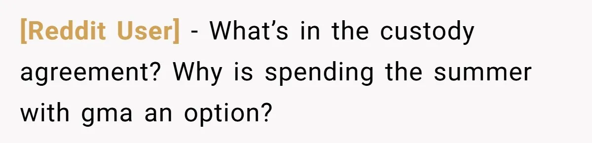 [Reddit User] − What’s in the custody agreement? Why is spending the summer with gma an option?