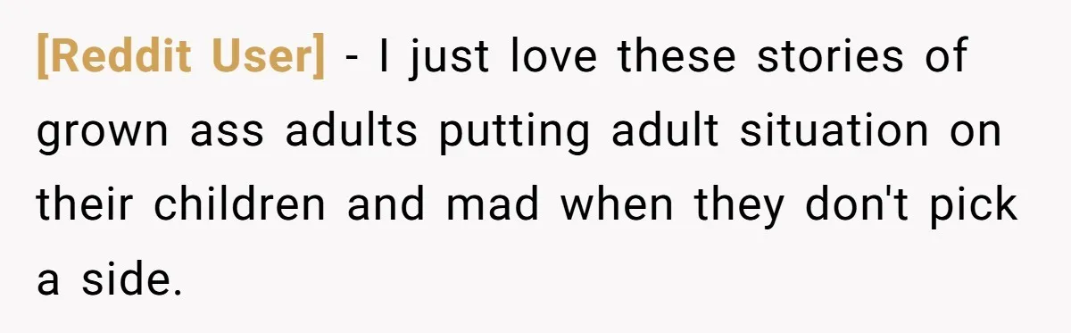 [Reddit User] − I just love these stories of grown ass adults putting adult situation on their children and mad when they don't pick a side.
