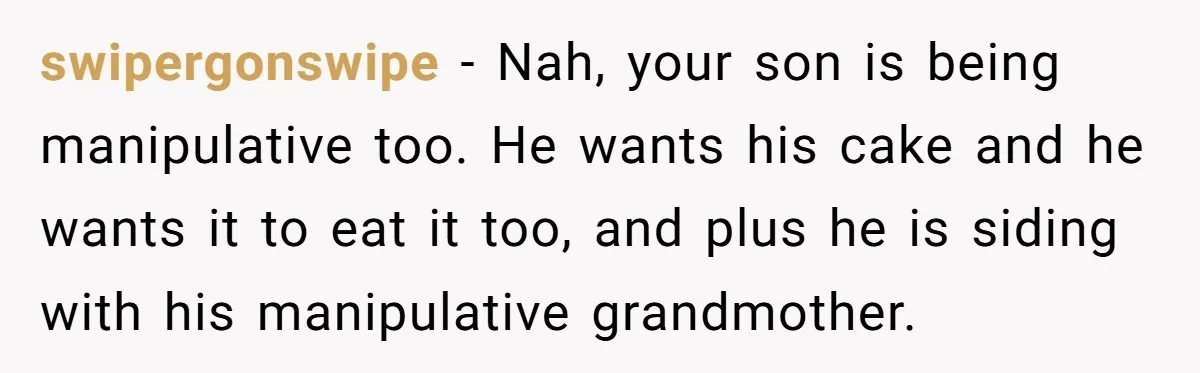 swipergonswipe − Nah, your son is being manipulative too. He wants his cake and he wants it to eat it too, and plus he is siding with his manipulative grandmother.