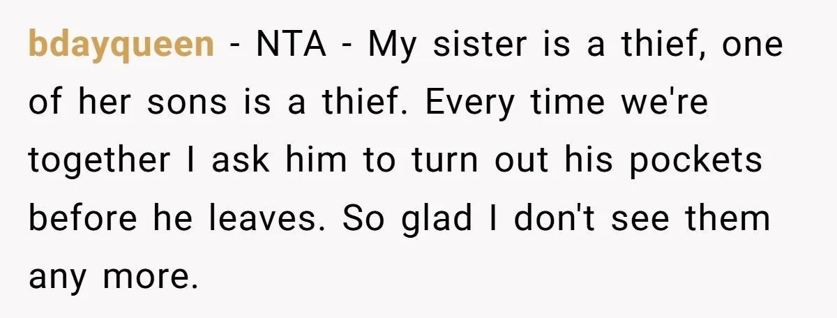 bdayqueen − NTA - My sister is a thief, one of her sons is a thief. Every time we're together I ask him to turn out his pockets before he...