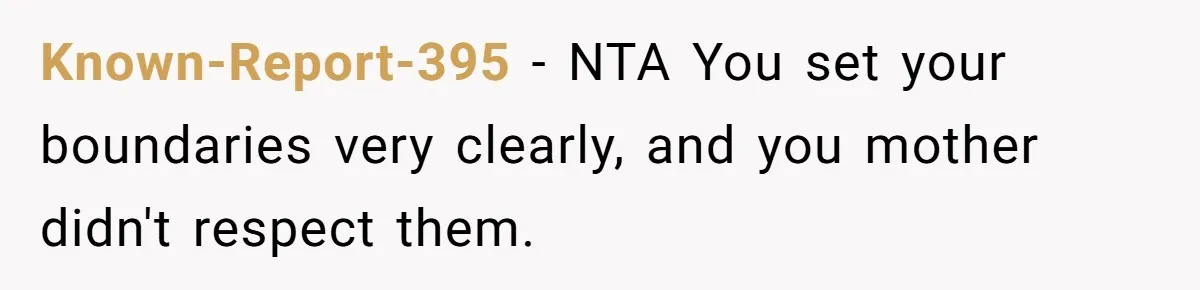 Known-Report-395 − NTA You set your boundaries very clearly, and you mother didn't respect them.