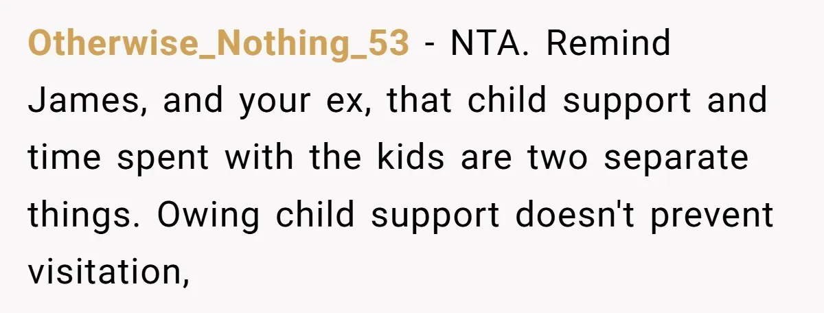 Otherwise_Nothing_53 − NTA. Remind James, and your ex, that child support and time spent with the kids are two separate things. Owing child support doesn't prevent visitation,