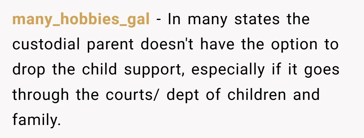 many_hobbies_gal − In many states the custodial parent doesn't have the option to drop the child support, especially if it goes through the courts/ dept of children and family.