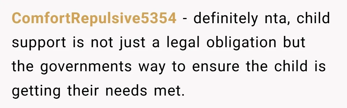 ComfortRepulsive5354 − definitely nta, child support is not just a legal obligation but the governments way to ensure the child is getting their needs met.