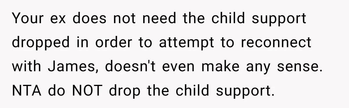Your ex does not need the child support dropped in order to attempt to reconnect with James, doesn't even make any sense. NTA do NOT drop the child support.