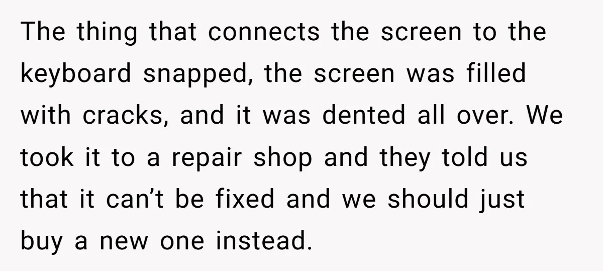 The thing that connects the screen to the keyboard snapped, the screen was filled with cracks, and it was dented all over. We took it to a repair shop and...