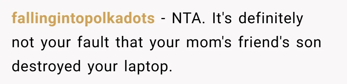 fallingintopolkadots − NTA. It's definitely not your fault that your mom's friend's son destroyed your laptop.