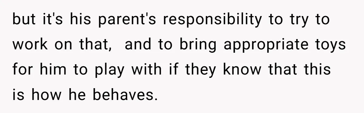 but it's his parent's responsibility to try to work on that, and to bring appropriate toys for him to play with if they know that this is how he behaves.