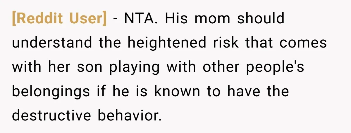 [Reddit User] − NTA. His mom should understand the heightened risk that comes with her son playing with other people's belongings if he is known to have the destructive behavior.
