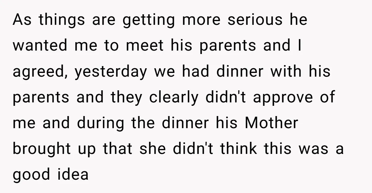 As things are getting more serious he wanted me to meet his parents and I agreed, yesterday we had dinner with his parents and they clearly didn't approve of me...