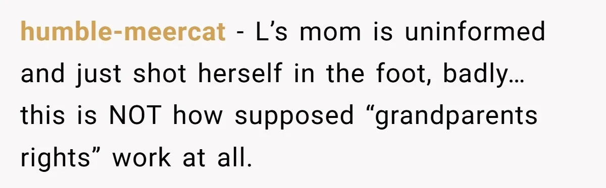 humble-meercat − L’s mom is uninformed and just shot herself in the foot, badly… this is NOT how supposed “grandparents rights” work at all.