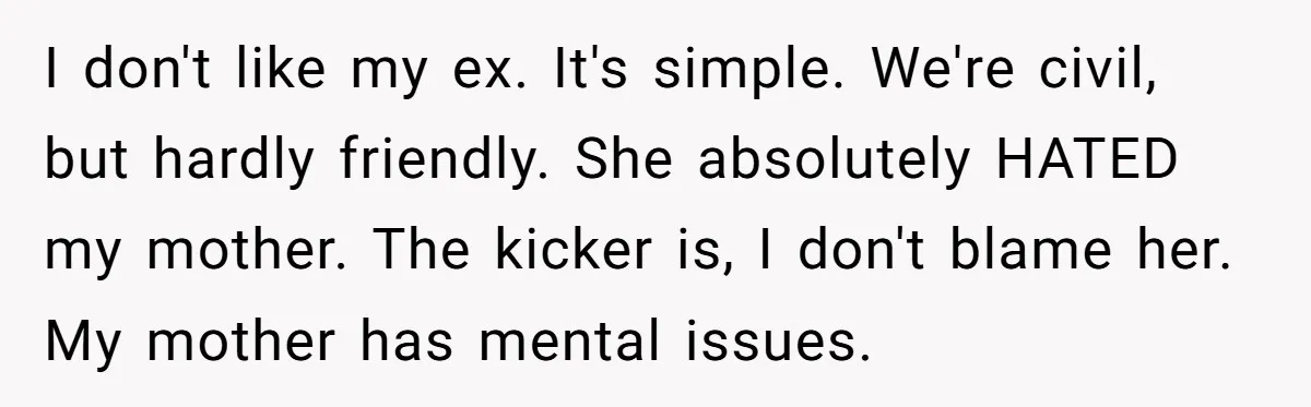 I don't like my ex. It's simple. We're civil, but hardly friendly. She absolutely HATED my mother. The kicker is, I don't blame her. My mother has mental issues.