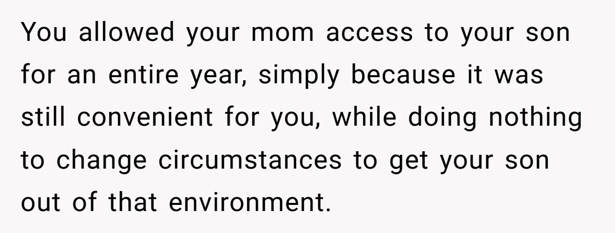 You allowed your mom access to your son for an entire year, simply because it was still convenient for you, while doing nothing to change circumstances to get your son...