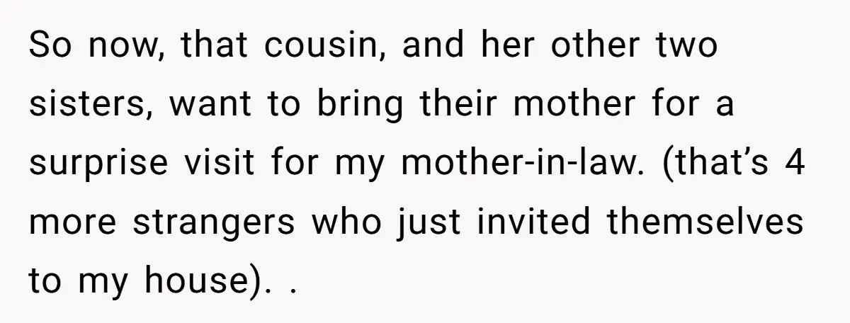 So now, that cousin, and her other two sisters, want to bring their mother for a surprise visit for my mother-in-law. (that’s 4 more strangers who just invited themselves to...