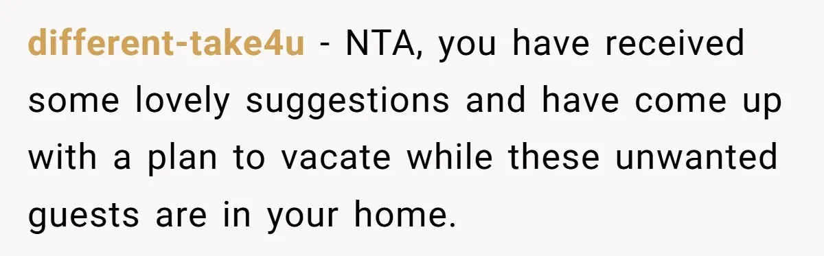 different-take4u − NTA, you have received some lovely suggestions and have come up with a plan to vacate while these unwanted guests are in your home.