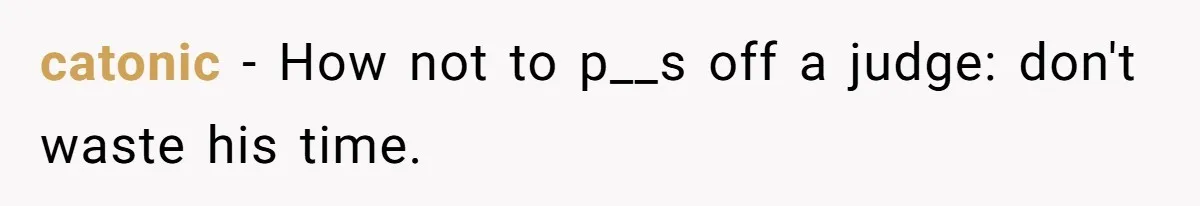 catonic − How not to p__s off a judge: don't waste his time.