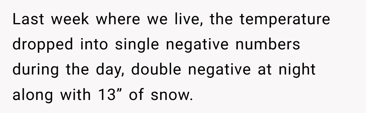 Last week where we live, the temperature dropped into single negative numbers during the day, double negative at night along with 13” of snow.