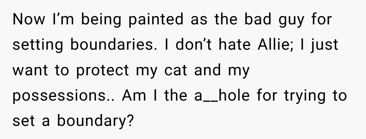 Now I’m being painted as the bad guy for setting boundaries. I don’t hate Allie; I just want to protect my cat and my possessions.. Am I the a__hole for...