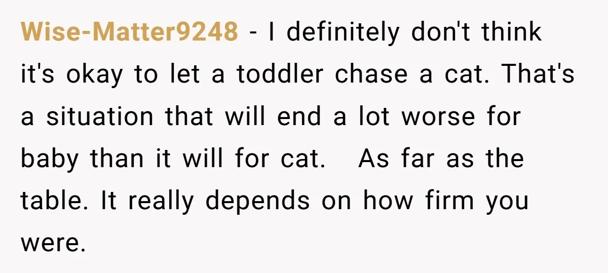Wise-Matter9248 − I definitely don't think it's okay to let a toddler chase a cat. That's a situation that will end a lot worse for baby than it will for...