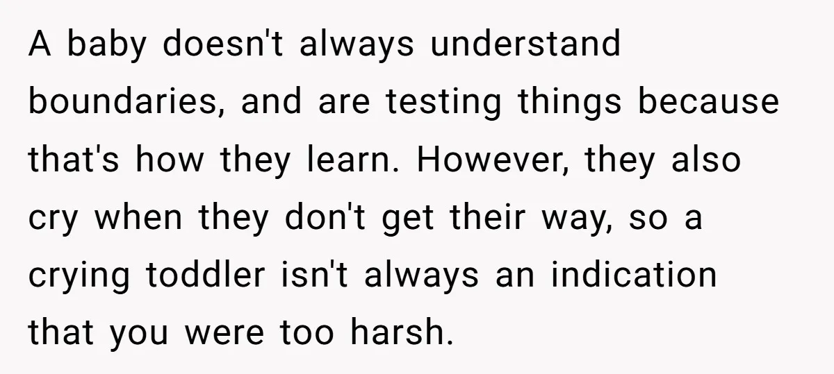 A baby doesn't always understand boundaries, and are testing things because that's how they learn. However, they also cry when they don't get their way, so a crying toddler isn't...
