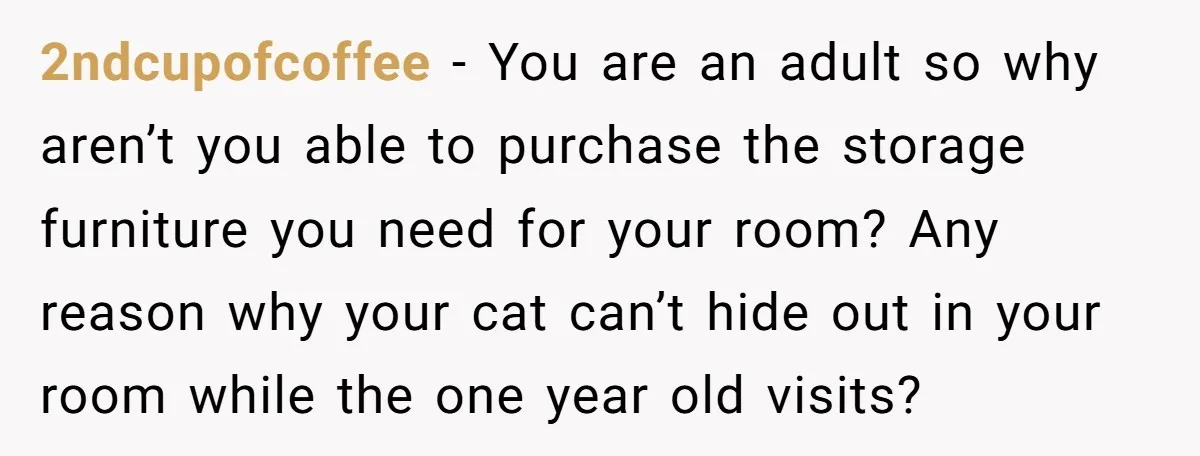 2ndcupofcoffee − You are an adult so why aren’t you able to purchase the storage furniture you need for your room? Any reason why your cat can’t hide out in...