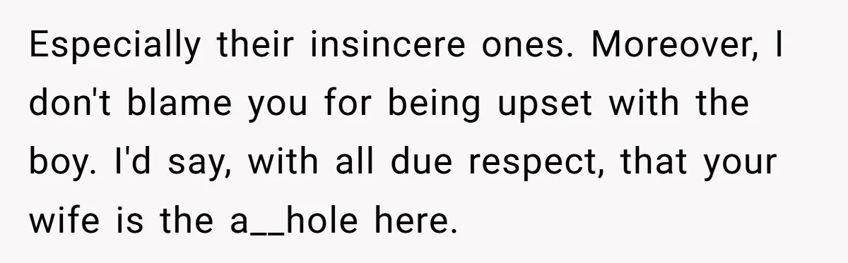 Especially their insincere ones. Moreover, I don't blame you for being upset with the boy. I'd say, with all due respect, that your wife is the a__hole here.