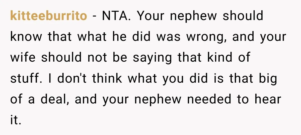kitteeburrito − NTA. Your nephew should know that what he did was wrong, and your wife should not be saying that kind of stuff. I don't think what you did...